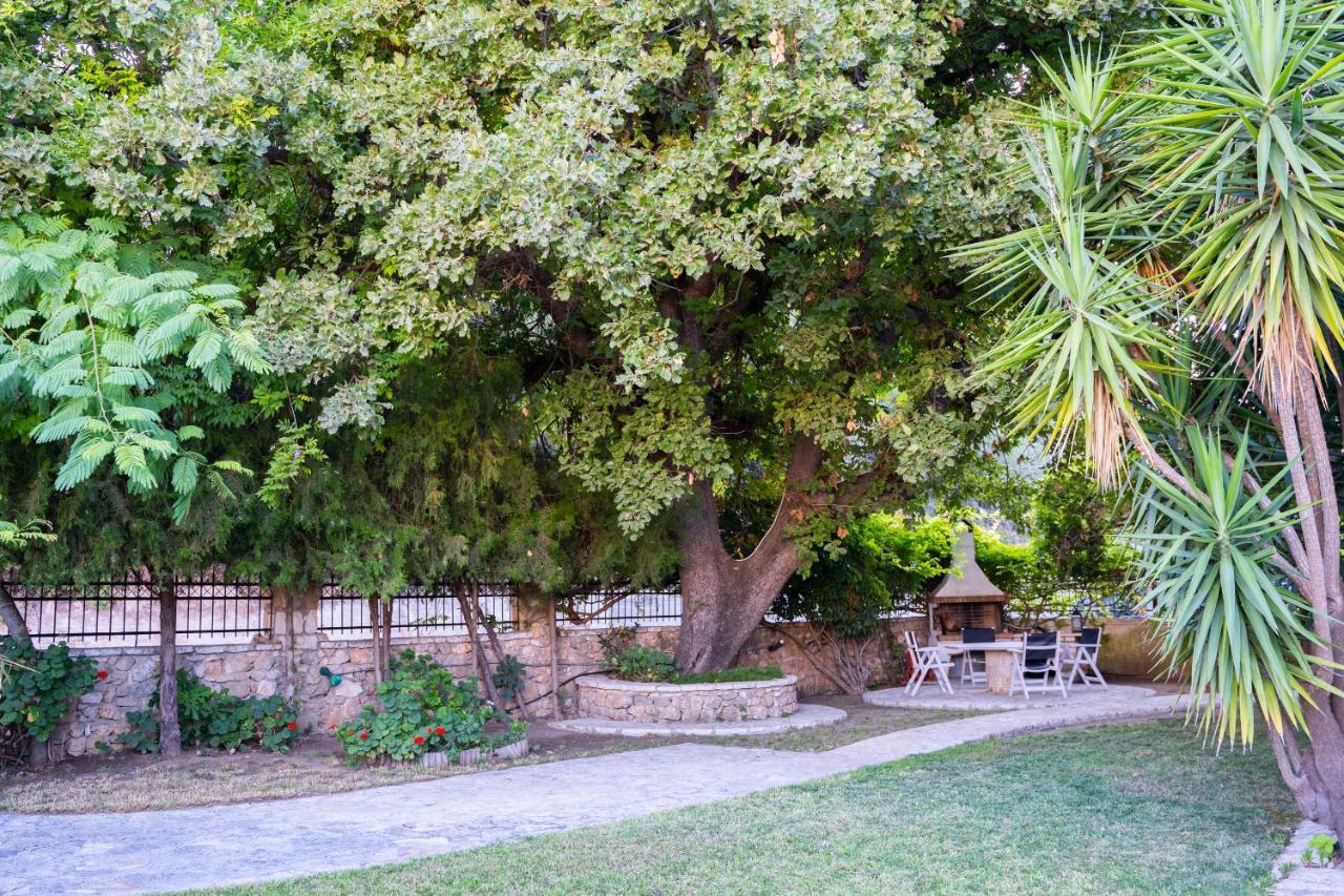 Villa Dina Sívota المظهر الخارجي الصورة